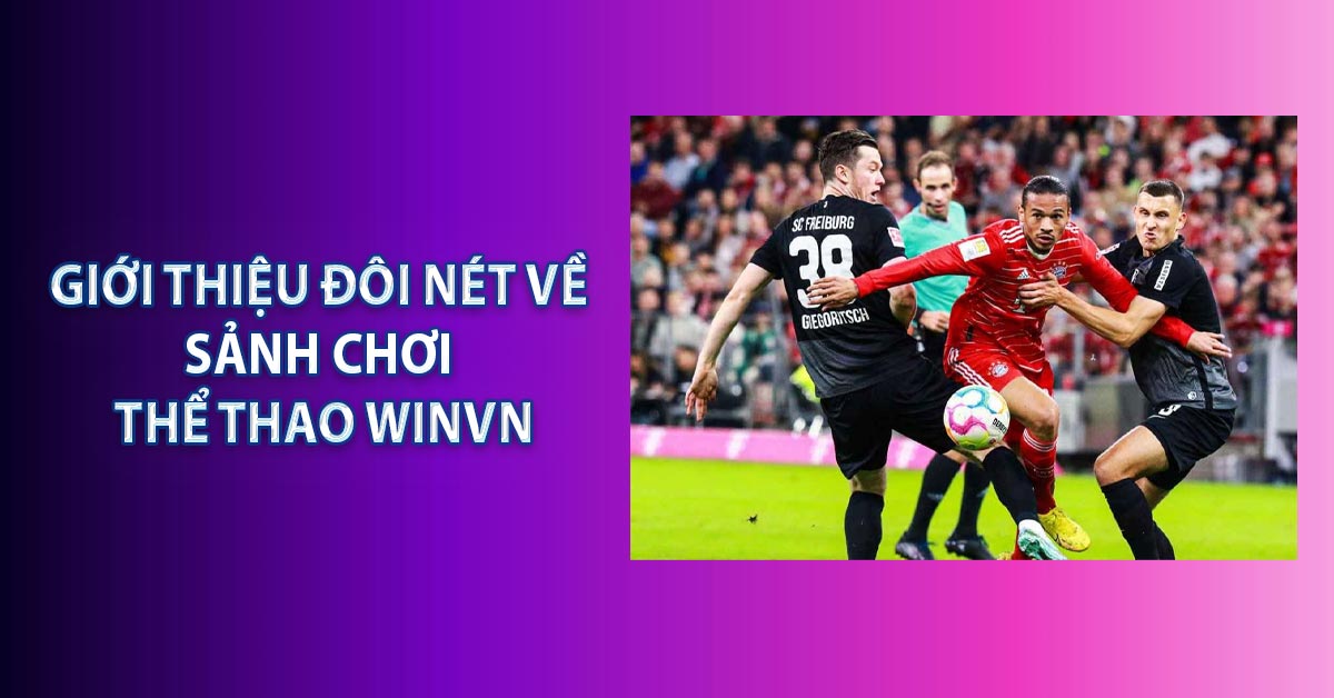 Giới thiệu đôi nét về sảnh chơi Thể Thao WINVN